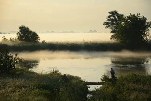 Mistige, zonnige ochtend op de rivier. — Stockfoto