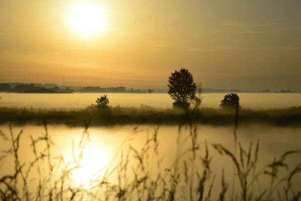 Foggy, manhã ensolarada no rio . — Fotografia de Stock