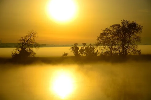 Foggy, matin ensoleillé sur la rivière . — Photo