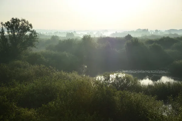 Mistige, zonnige ochtend op de rivier. — Stockfoto