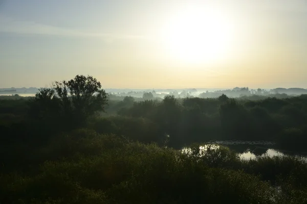 Mistige, zonnige ochtend op de rivier. — Stockfoto