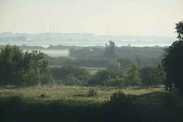 Mistige, zonnige ochtend op de rivier. — Stockfoto