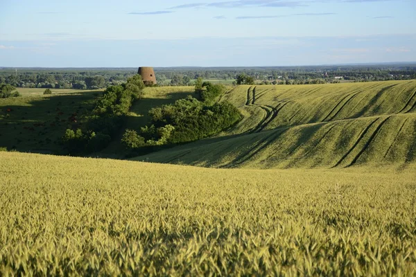 Fuori città - paesaggio rurale - un vecchio mulino a vento sul fiel — Foto Stock