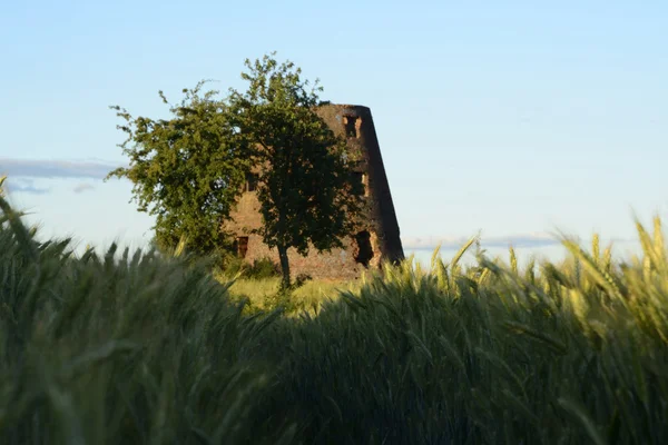 Buiten de stad - landschap - een oude windmolen op de fiel — Stockfoto