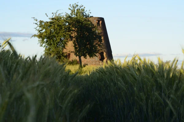 Utanför staden - landsbygdens landskap - en gammal väderkvarn på fiel — Stockfoto