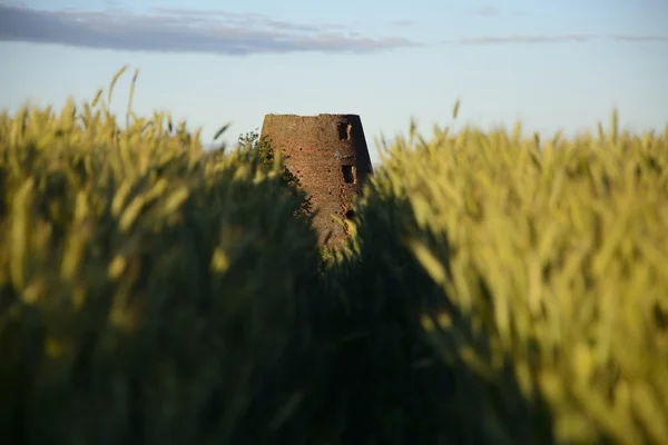 Stary wiatrak w dziedzinie — Zdjęcie stockowe
