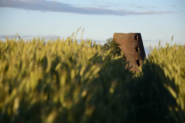 Oude molen in veld — Stockfoto