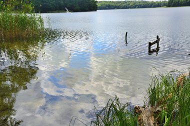 Barlinek, göl, şehir ve çevresi 