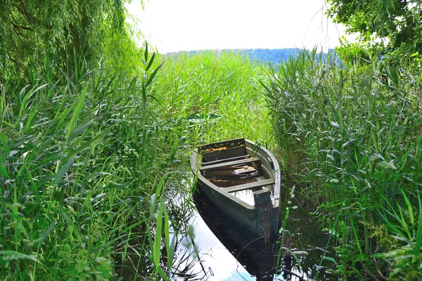 Barlinek, See, Stadt und Umgebung — Stockfoto