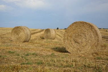 Haystacks in a field clipart