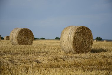 bir alandaki haystacks