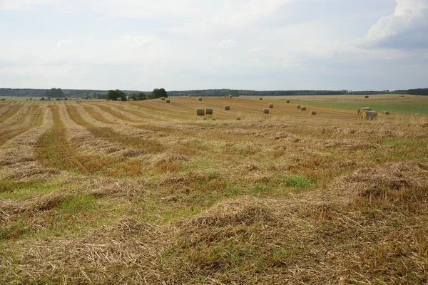 Haystacks mező — Stock Fotó