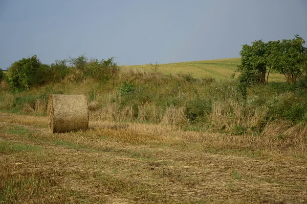 Haystacks dans un champ — Photo