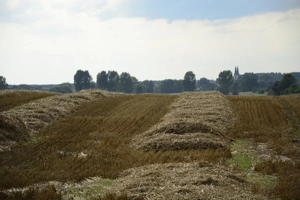 Haystacks in a field — Stock Photo, Image