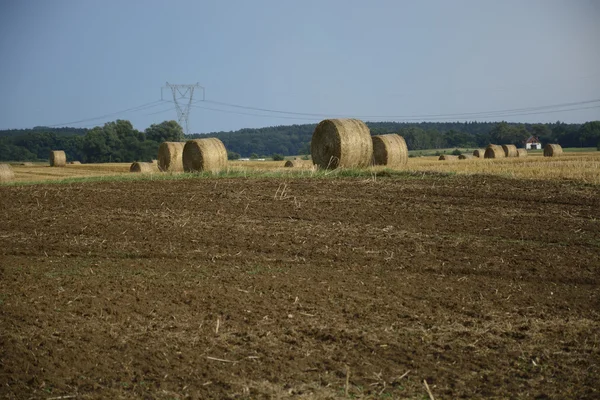 Bir alandaki haystacks — Stok fotoğraf