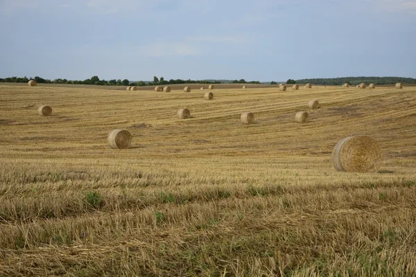 Hooibergen in een veld — Stockfoto