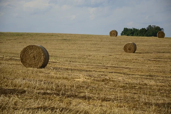 Hooibergen in een veld — Stockfoto