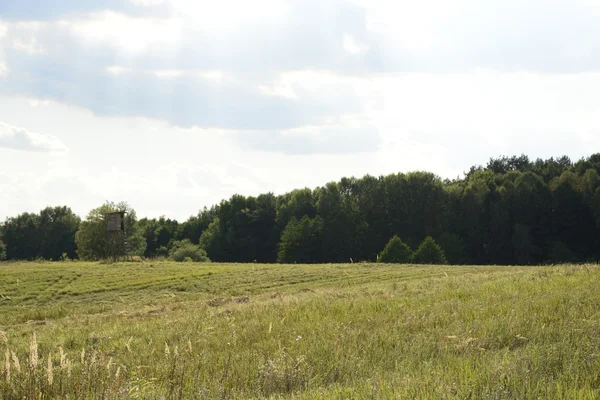 Scenery with hunt tower — Stock Photo, Image