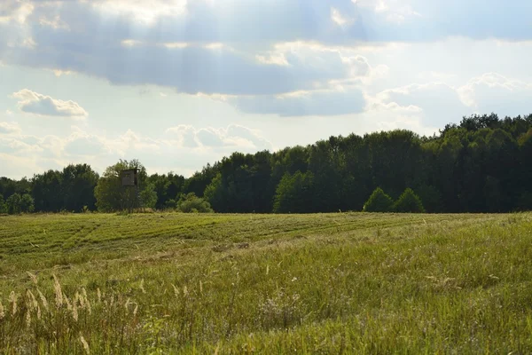 Scenery with hunt tower — Stock Photo, Image