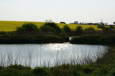 Tecavüz rengini boyalı alan
