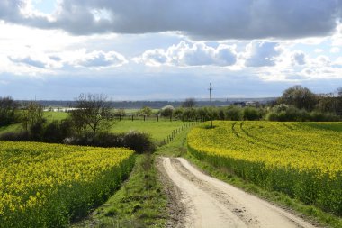 Tecavüz rengini boyalı alan