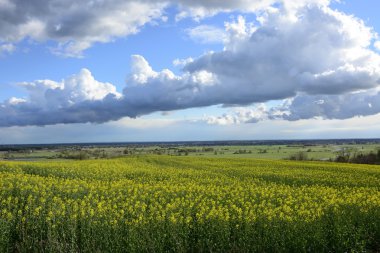 Tecavüz rengini boyalı alan
