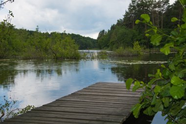 Yeşil gölet üzerinde köprü