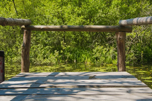 Brücke über grünen Teich — Stockfoto