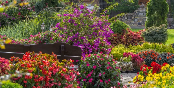 Kolorowy ogród — Zdjęcie stockowe