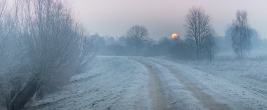 Kış alanlarda ve çayırlar