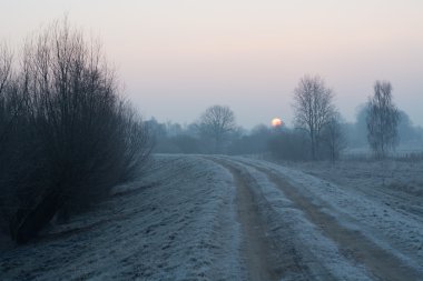 Kış alanlarda ve çayırlar