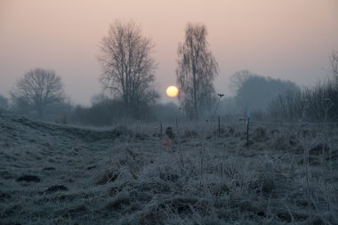 Kış alanlarda ve çayırlar