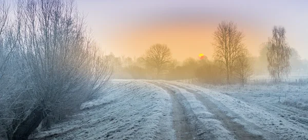 Inverno nei campi e nei prati — Foto Stock