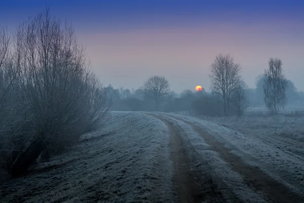 Winter auf den Feldern und Wiesen — Stockfoto