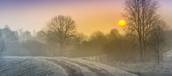 Inverno nos campos e prados — Fotografia de Stock