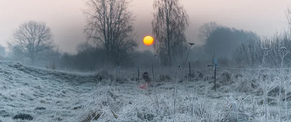 L'hiver dans les champs et les prairies — Photo