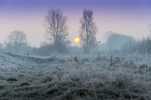 L'hiver dans les champs et les prairies — Photo