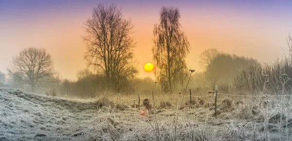 Winter auf den Feldern und Wiesen — Stockfoto