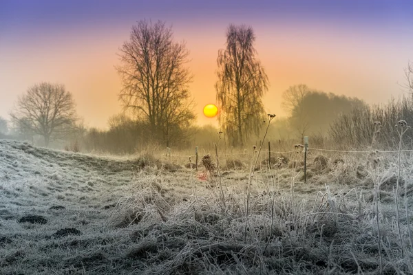 Winter auf den Feldern und Wiesen — Stockfoto