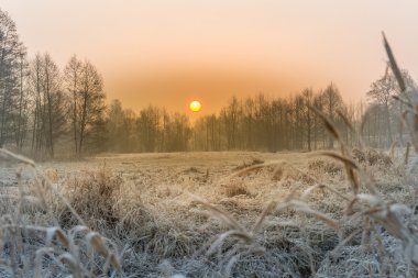 Kış alanlarda ve çayırlar