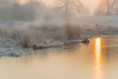 Kış alanlarda ve çayırlar