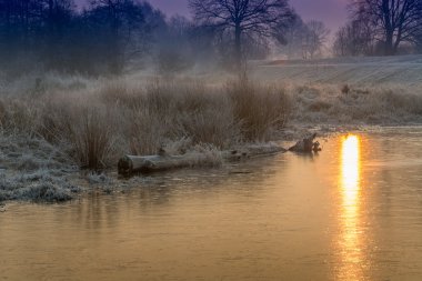 Kış alanlarda ve çayırlar