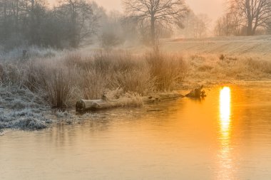 Kış alanlarda ve çayırlar