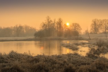 Kış alanlarda ve çayırlar