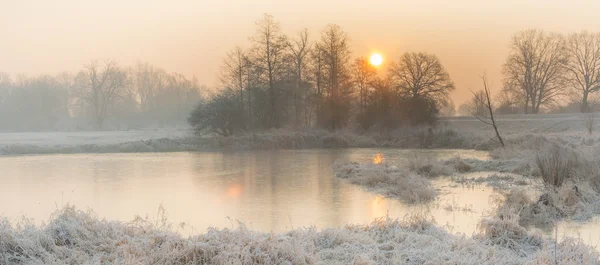 Inverno nei campi e nei prati — Foto Stock