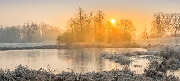 Inverno nei campi e nei prati — Foto Stock