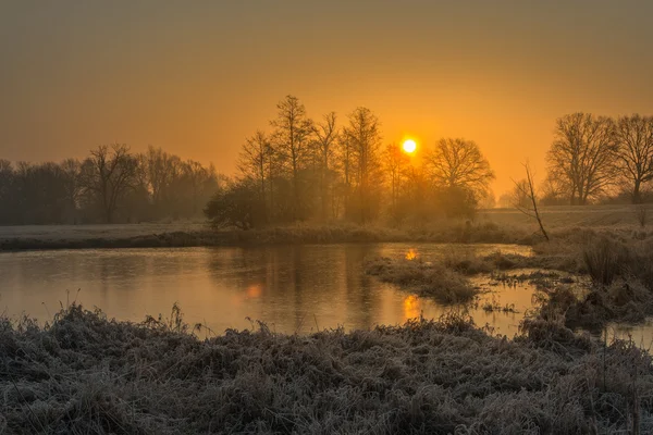 Inverno nos campos e prados — Fotografia de Stock
