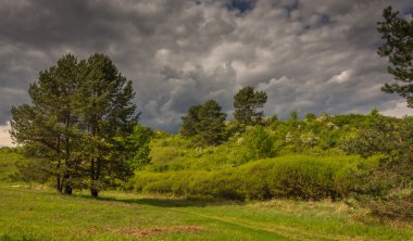 alanlar ve çayırlar üzerinde önümüzdeki fırtına