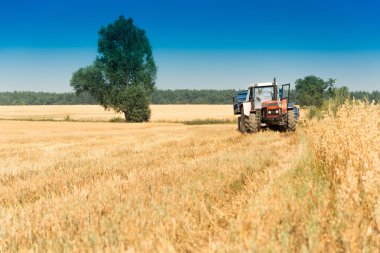 Hasat, alanlar ve çayırlar hasat sırasında