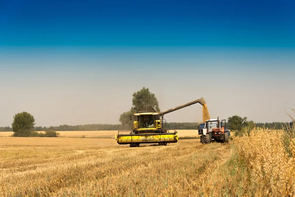 Skörd, åkrar och ängar under skörd — Stockfoto